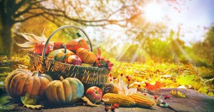 6 Biblical Lessons from the Fall Harvest