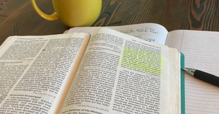 Study Bibles are Not Enough