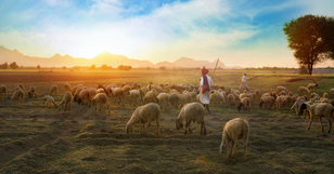  10 Things a Good Pastor Will Never Say