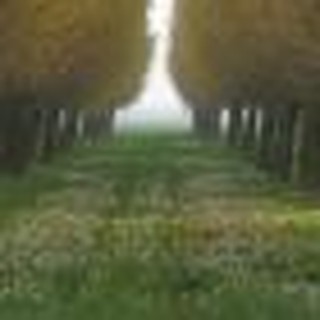 Beyond Sunday: Is Union with Christ Mysticism?