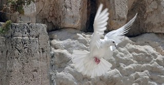The Holy Spirit and the Scandal of Christ's Birth