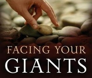 Take Goliath Down