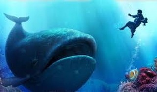 Are You in the Belly of a Big Fish? - Crosswalk the Devotional