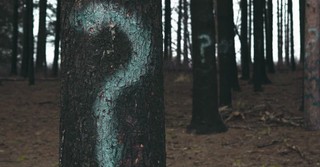 Does Anybody Know Who I Am?