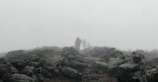 Lessons from the Fog