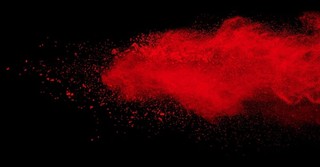 What is the "Strange Fire" Mentioned in Leviticus 9?