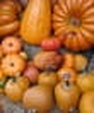 Yadah: Giving More than Thanks