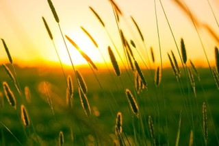Summer Bible Verses