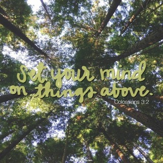 Devotional Bible Verses