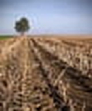 Studying Mark's Gospel: Preparing Our Heart’s Soil