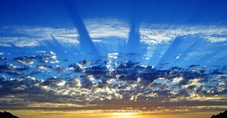 Predestination in the Bible