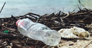 Sunday School Lesson: Don't Litter Your Life