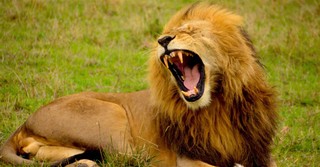 Sunday School Lesson: Courage Through Faith in God