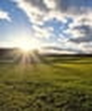 Studying Mark's Gospel: The Kingdom Is Dawning
