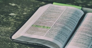 Our Favorite New International Version (NIV) Bibles