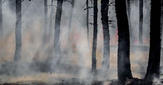Why Does Ezekiel Curse Seven Cities? 
