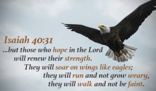 I Will Soar on Wings like Eagles