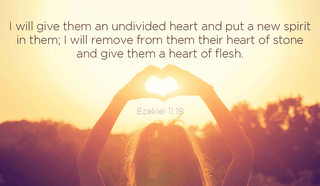 A Heart of Flesh