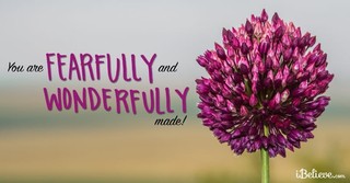 Fearfully and Wonderfully Made