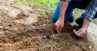 What is the Parable of the Sower?