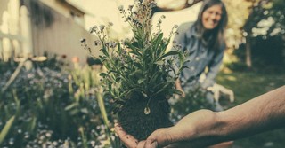 What Is God’s Creation? How Are Christians Supposed to Care for It?