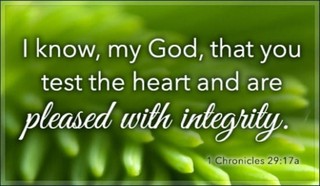1 Chronicles 29:17a