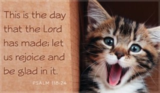 Rejoice