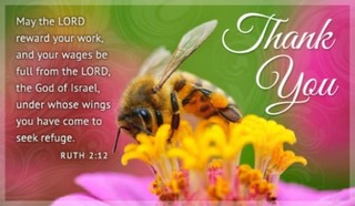 Thank You Bee