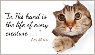Job 12:10