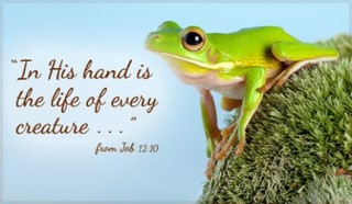 Job 12:10