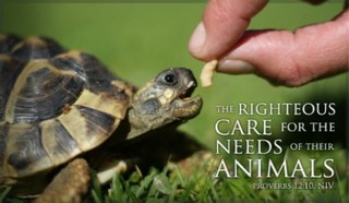 Care for Animals