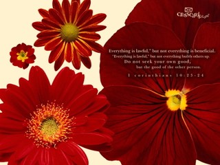 1 Corinthians 10:23-24