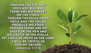 Habakkuk 3:17-18