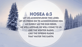 He will come back, as surely as the sun rises! - Hosea 6:3