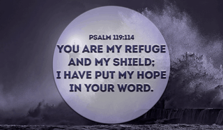 Thank you for protecting me Lord, Amen - Psalm 119:114