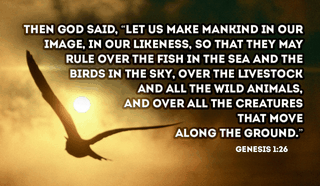 In what ways do you think we are in the likeness of God? - Genesis 1:26