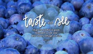 Taste and See!