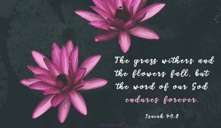 Isaiah 40:8