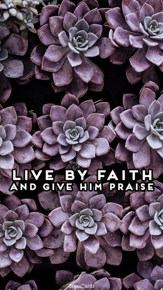 Live By Faith