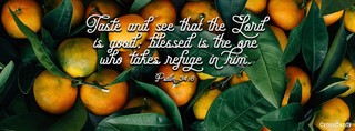 Psalm 34:8