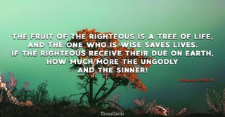 Proverbs 11:30-31
