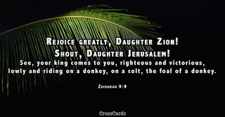 Zechariah 9:9
