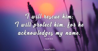 Psalm 91:14