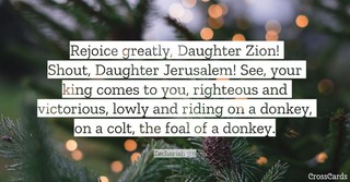 Zechariah 9:9