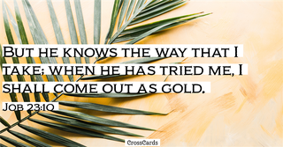 Job 23:10