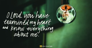 What Does God's Omniscience Mean for Me? (Psalm 139:1) - Your Daily Bible Verse - May 24