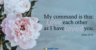 Second Place Marriage - Crosswalk Couples Devotional - May 8
