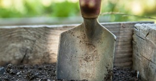 God's Choice Shaping Tools - In Touch - March 6