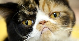 When It's Time to Stop Moping - Girlfriends in God - November 16, 2016