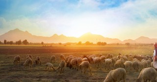 What it Means to Walk with God - Greg Laurie Daily Devotion - June 18